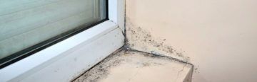 How to treat damp - window sills
